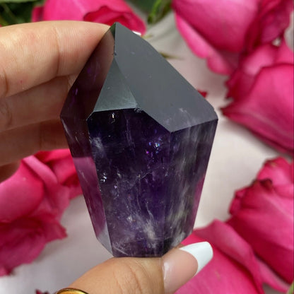 High Quality Dark Amethyst Standing Polished Root