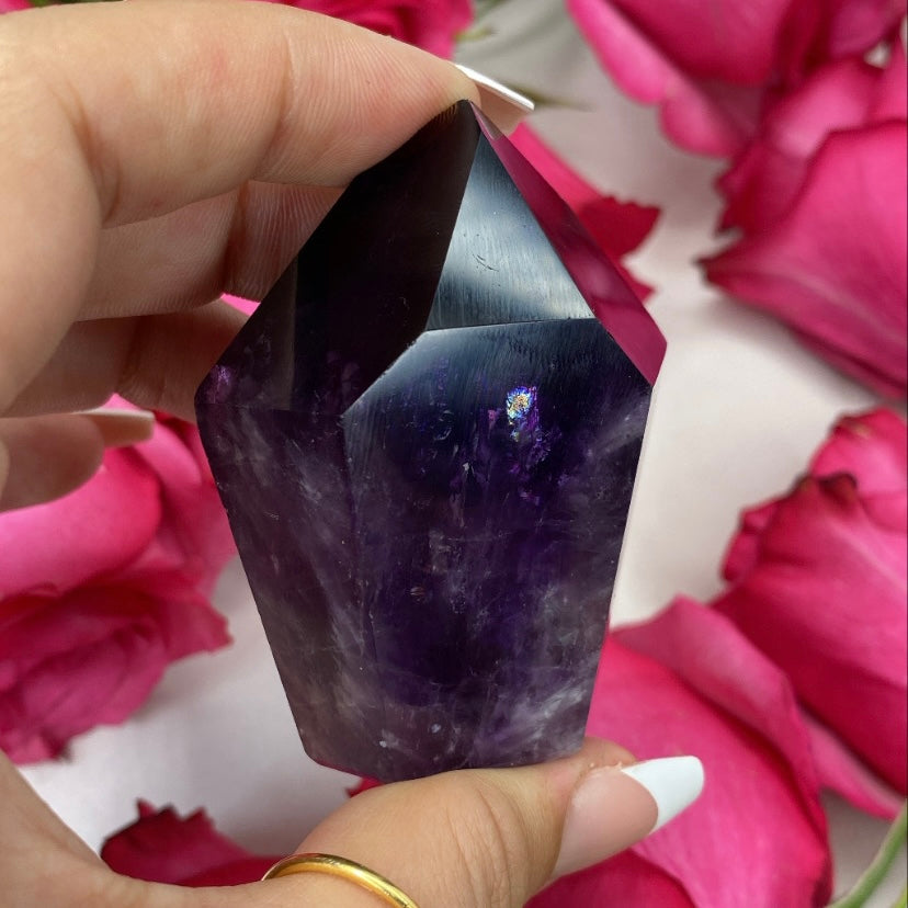 High Quality Dark Amethyst Standing Polished Root